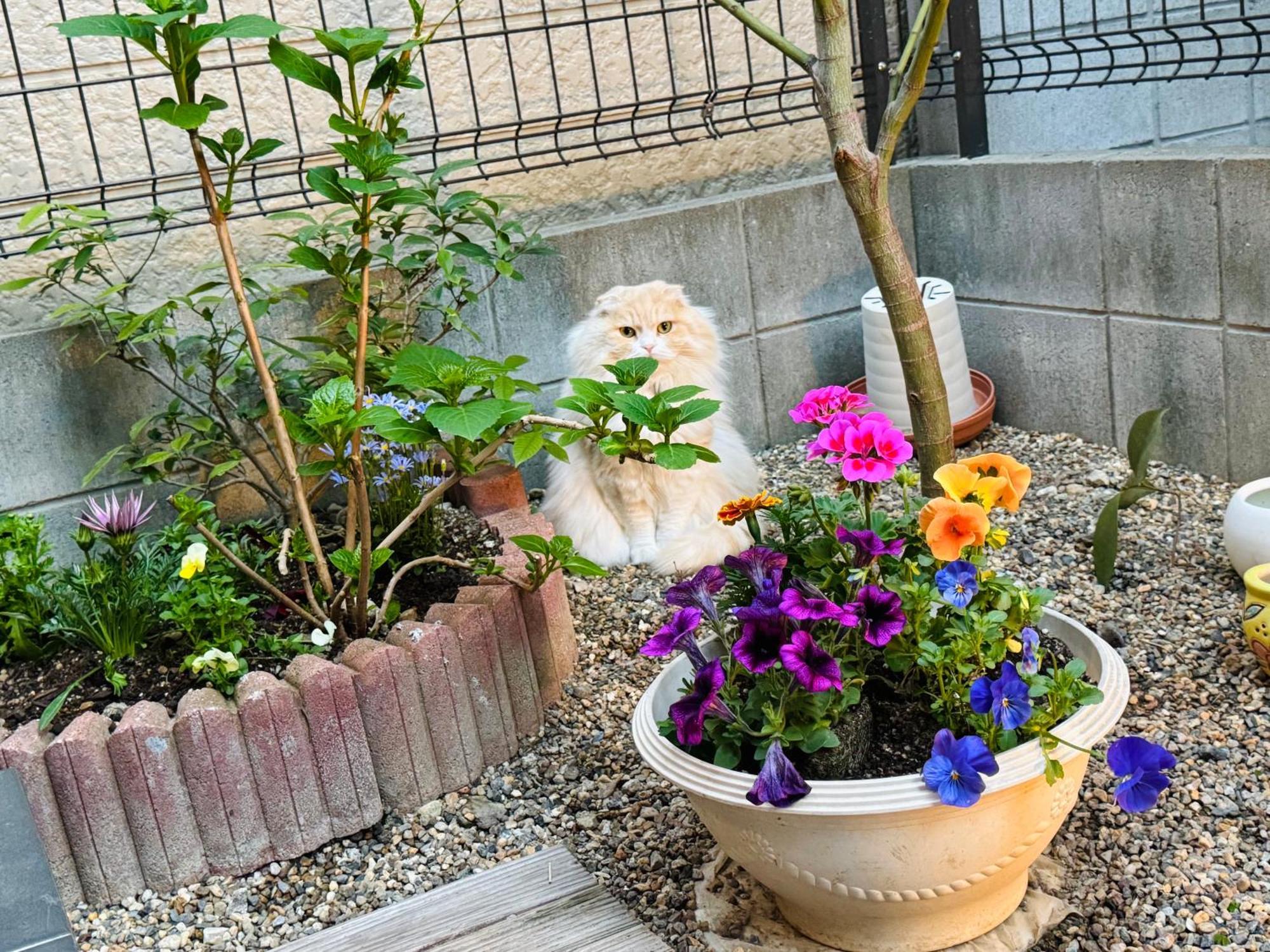 Hotel 遥華-Haruka House Kyōto Exterior foto